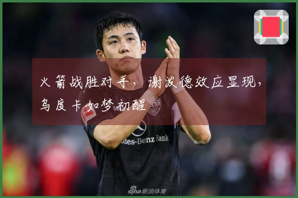 火箭战胜对手，谢泼德效应显现，乌度卡如梦初醒