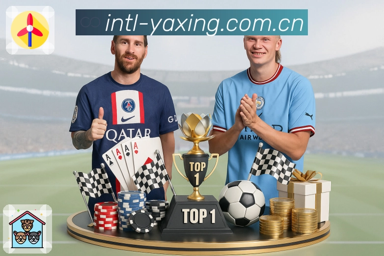 专题回放与精彩内容